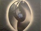 Rare Symphonic Prog Rock - William Sheller Lux Aeterna