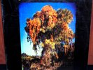 WE ALL TOGETHER RARE PSYCH PROG FLOWER POP LP PERU EX-