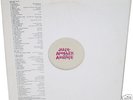 Just Another Ahole LP NO WAVE Glenn Branca SONIC YOUTH+