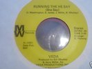 VEDA ( HARD TO FIND FUNK / SOUL )