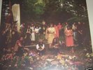 FEATHERS S/T LP - Devendra Banhart, Espers, Fursaxa