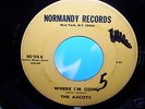 ASCOTS   WHERE I'M GOIN'   NEW YORK , NY  60's 