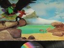 BUDGIE KILLER U.K PROG LP Never turn your back  A1/B1