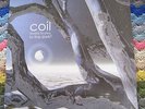 COIL Musick to Play in the Dark 2 LTD EDITION NO 21/50