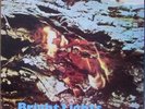 DUSTER BENNETT BRIGHT LIGHTS ORIG 1969 BLUE HORIZON LP