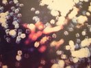 PINK FLOYD Obscured By Clouds LP Syd Barrett psych NM+