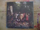 feathers psych folk lp devendra banhart vetiver etc