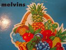 Melvins- Bullhead LP long out of print