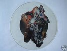 IRON MAIDEN - INFINITE DREAMS - UNCUT PICTURE PIC DISC