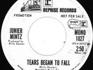 JUNIER MINTZ Tears Began to Fall PROMO 45 Zappa Listen