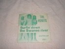 HONEYS SURFIN DOWN THE SWANEE RIVER