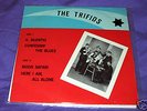 Trifids Dutch private 65 organ garage 45 EP PS LISTEN