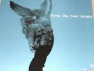 SUNNY DAY REAL ESTATE The Rising Tide 2 LP SET RARE EMO