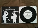 THE ANNIVERSARY debut TOUR 7