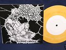Bones Brigade nothing changes 7