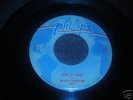 Rockabilly 45/ Hayden Thompson 