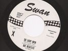 BEATLES - Sie Liebt Dich  wl DJ 45 on Swan Nice Hear it