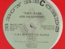TALL DARK & HANDSOME Call it What You Wanna SEALED