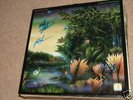 RARE SIGNED 5x FLEETWOOD MAC TANGO LP GENUINE FREE