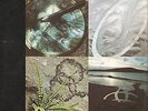 LED ZEPPELIN: Remastered  10