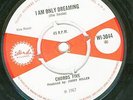 CHORDS FIVE I AM ONLY DREAMING OG UK 1967 ISLAND 7 CLIP