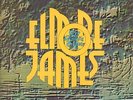 Elmore James: To Know a Man 2LP (Blue Horizon 1969) EX