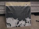 Hope Sandoval - Bavarian Fruit Bread Vinyl Mazzy Star