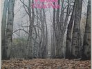 TWINK Think Pink UK PROGROCK - ORIG. GER 1970 - POLYDOR