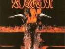BODKIN - SAME - OLD AKARMA REISSUE - SOLD OUT - 180g
