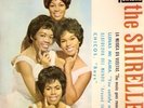 THE SHIRELLES. The music goes round & round. Spanish