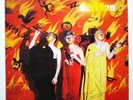PLAN first LP with FEHLFARBEN and DAF member from 1980