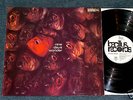 NINE DAYS WONDER - 1stPress German BACILLUS 1971 MINT