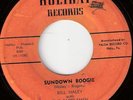 Bill Haley Sundown Boogie Holiday Rare Listen
