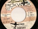 RARE GARAGE/PSYCH - THE PRIMITIVES - THE OSTRICH /