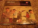 RARE POWER POP PUNK LP/ THE BATS 