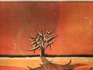 PINK FLOYD - Astronomy Domine - Turkish Edition L.P.