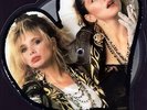 MADONNA - INTO THE GROOVE - RARE SHAPED PIC DISC