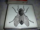MOSCA LA Señal de peligro-Pájaro amarillo