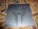 DEERHUNTER Turn It Up s/t 1st LP OOP Animal Collective