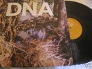 DNA-12