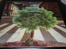 Agora 'Live in Montreux' LP Italian prog Jacula Perigeo