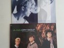 A-Ha a-ha Maxi  Cry Wolf Take on me Vinyl Maxi's 2stück