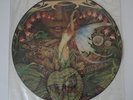 SPYRO GYRA Morning Dance PROMO Picture Disc LP