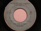 RARE NORTHERN SOUL 45 WILLIE TEE-FIRST TASTE-GATUR-HEAR