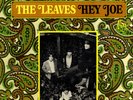 the LEAVES Rare Mira Stereo LP from 1966 VG++