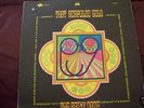 Psych fuzz lp The Rainy Daze 