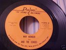 Doc and The Echoes - Why Wonder - Pulse 2078