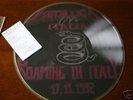Metallica Picture disc Roaming in Italy 