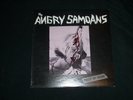 ANGRY SAMOANS Inside My Brain LP Bad Trip punk kbd OG