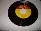 Studio City Records  The Shandells 
